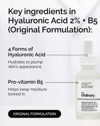 Hyaluronic Acid 2% + B5  (with Ceramides)